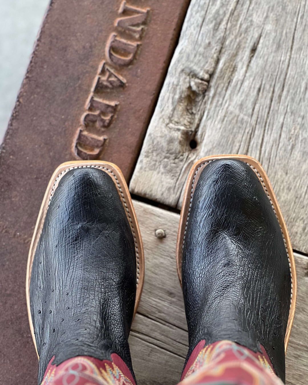 Fenoglio Boot Co. | Black Smooth Ostrich Cabernet Boot | Toe View