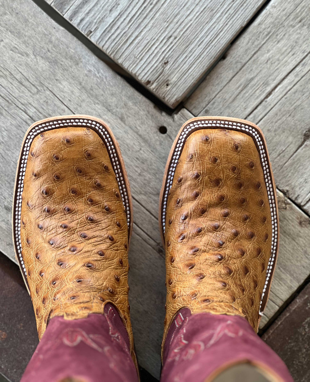 Anderson Bean | Umber Bruciato Full Quill Ostrich Boot | Toe