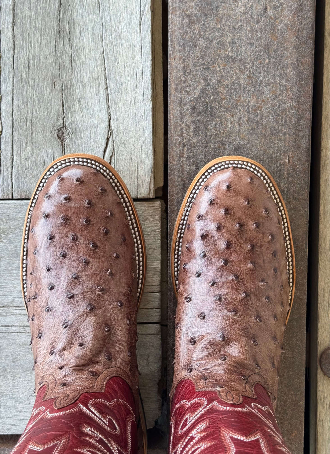 Horse Power Top Hand  | Kango Tobacco FQ Ostrich 11" Boot | Toe View