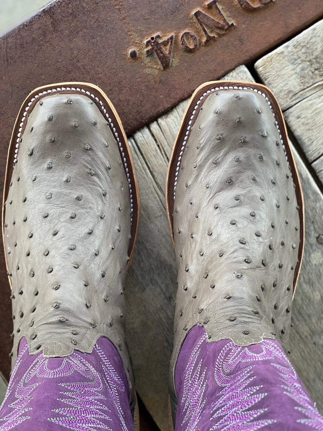 top view toe shape and ostrich leather Anderson Bean | Serpentine Grey Full Quill Ostrich Boot