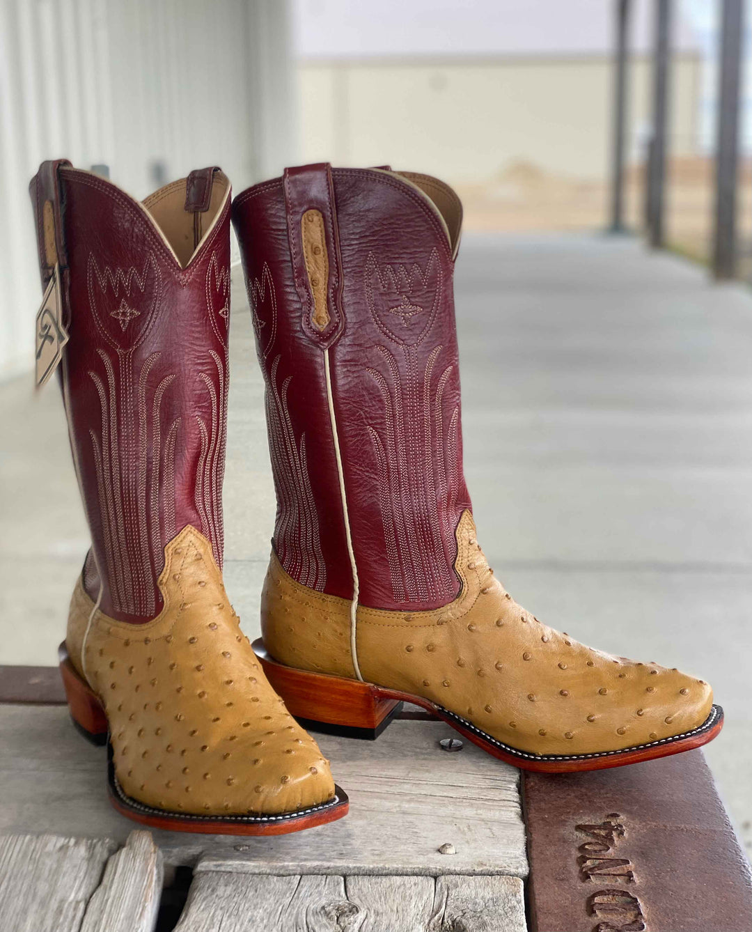 Fenoglio Boot Co. | Antique Saddle Full Quill Ostrich Boot