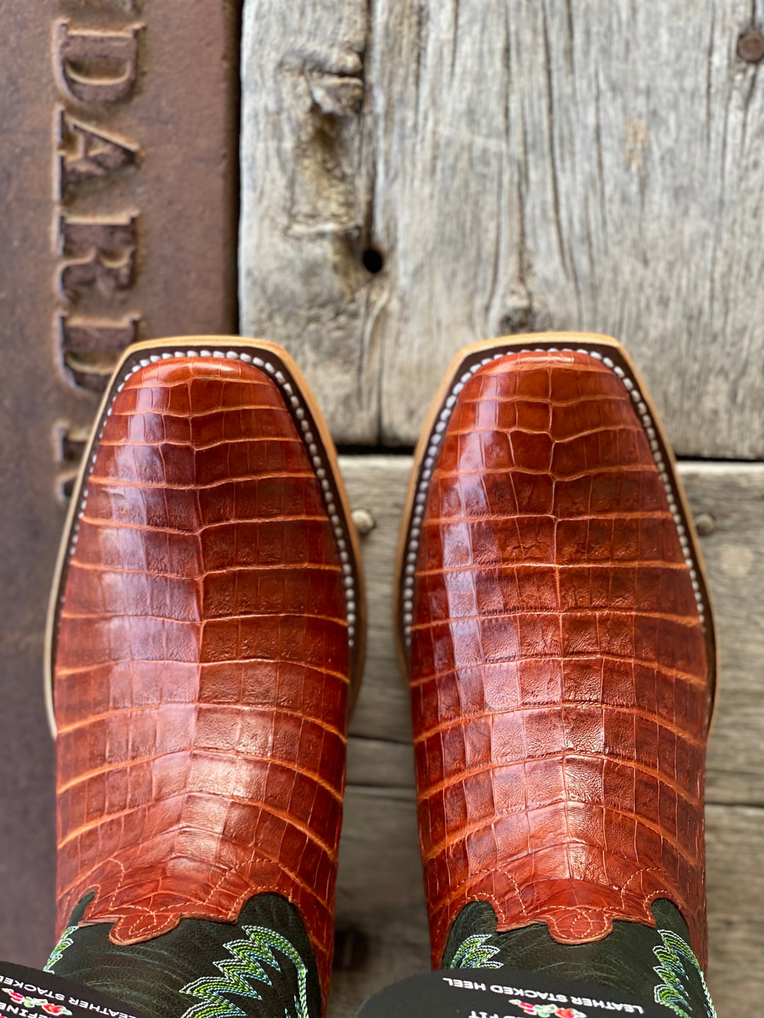 Macie Bean Top Hand |  Brandy Caiman Belly Ladies TK Toe Boot Toe View