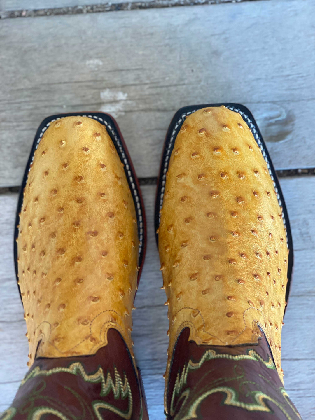 Toe view Fenoglio Boot Co. | Buttercup Bruciato Mens Boot