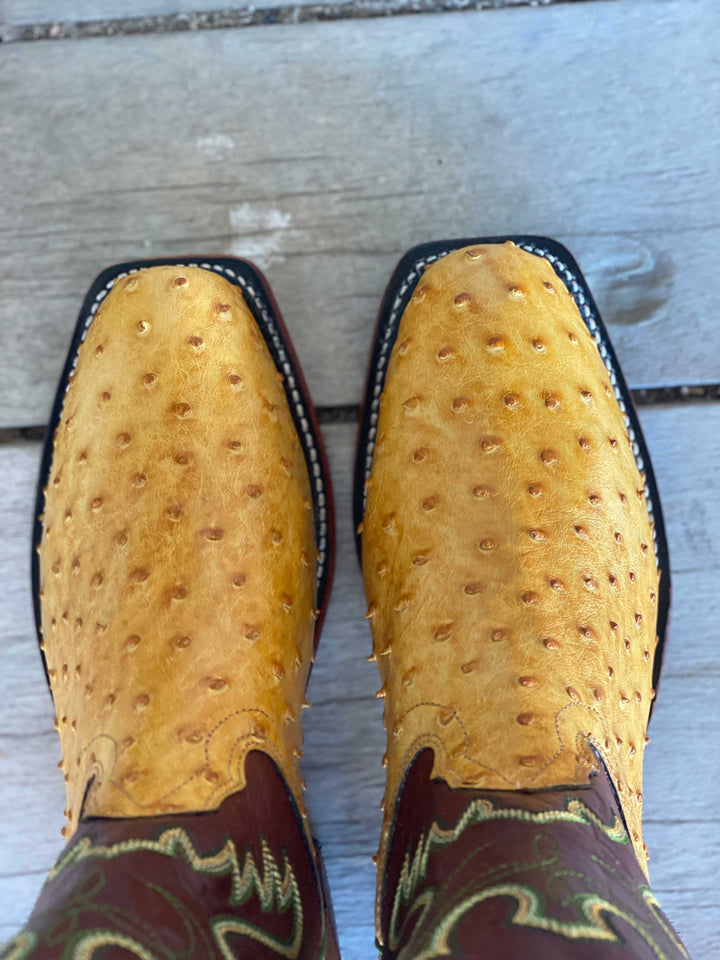 Toe view Fenoglio Boot Co. | Buttercup Bruciato Mens Boot