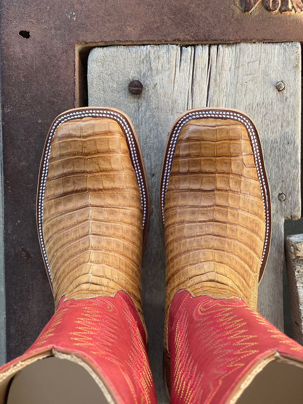 top down view toe shape Anderson Bean | Tan Caiman Belly Boot