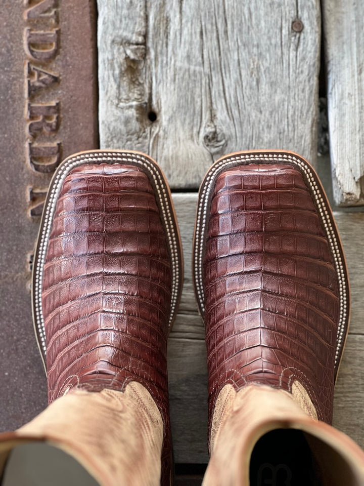 Toe View Anderson Bean | Tobacco Caiman Belly Boot