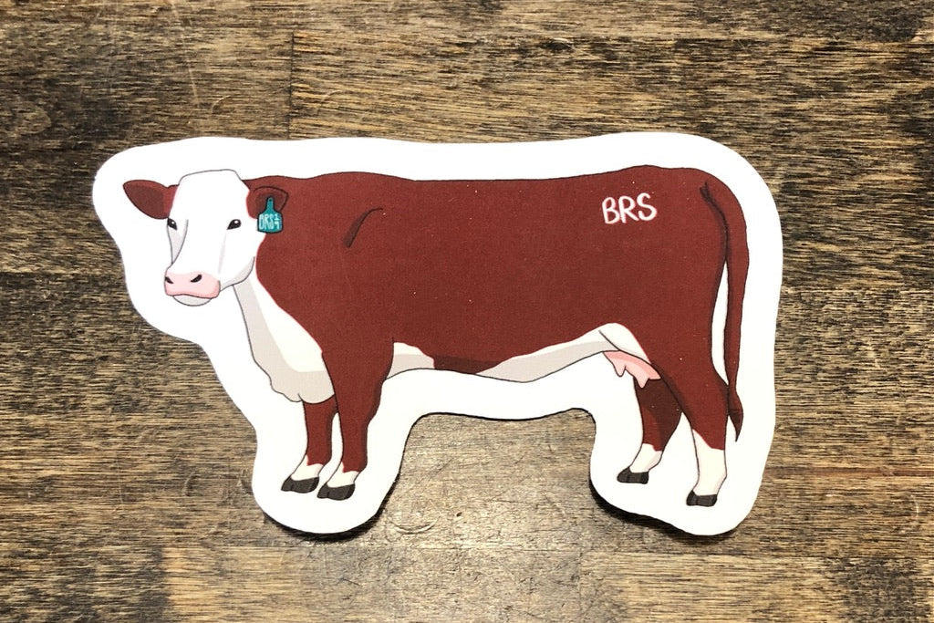 Bison Range | Hereford cow sticker