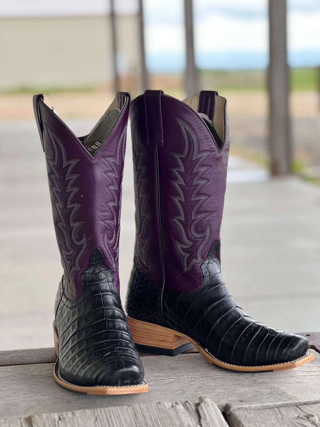 Horse Power Top Hand  | Black Caiman Belly Boot