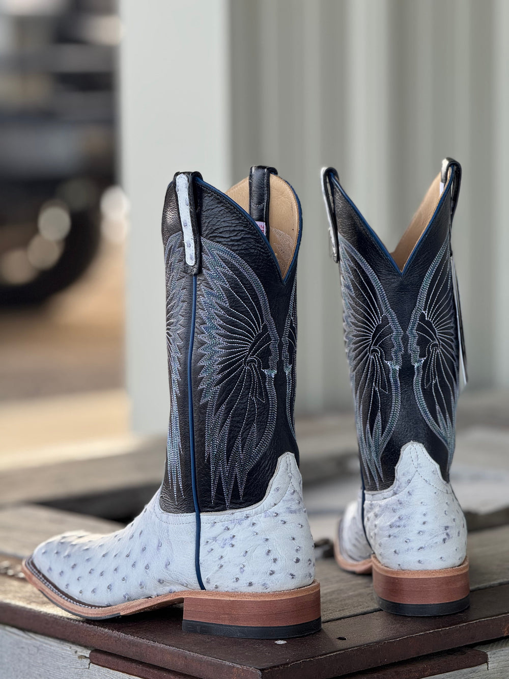 Anderson Bean | White Bruciato Full Quill Ostrich Boot | Back View