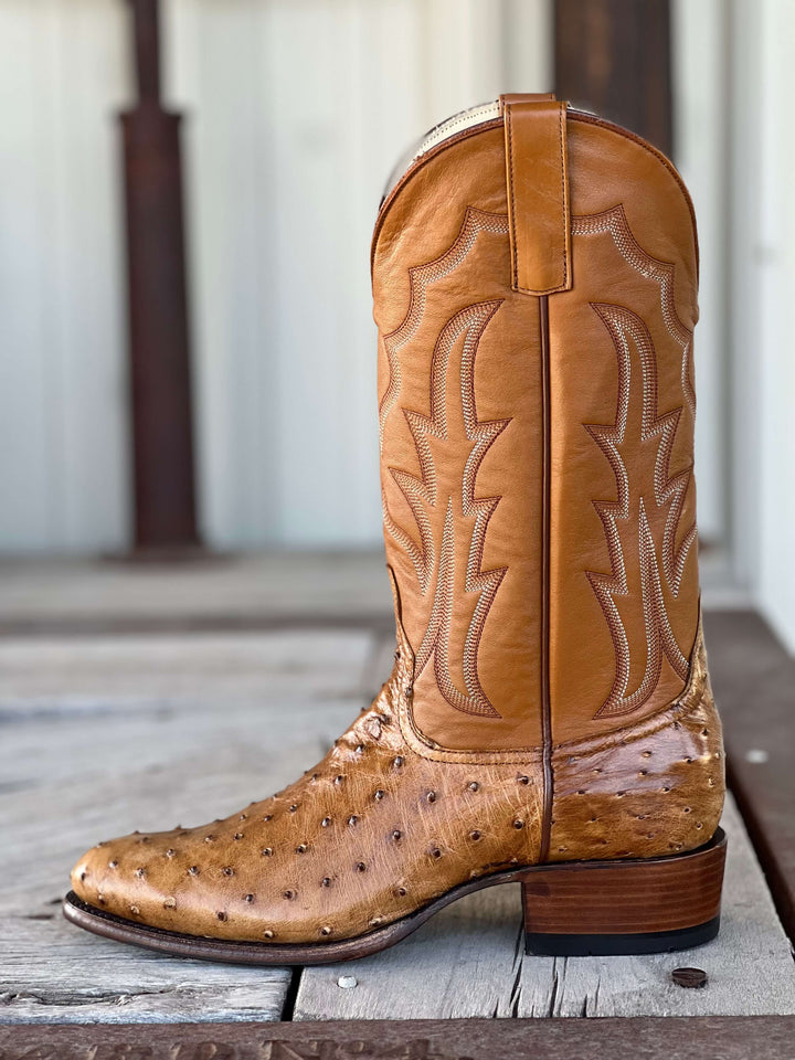 Horse Power Top Hand  | Antique Saddle FQ Ostrich CR Toe Boot