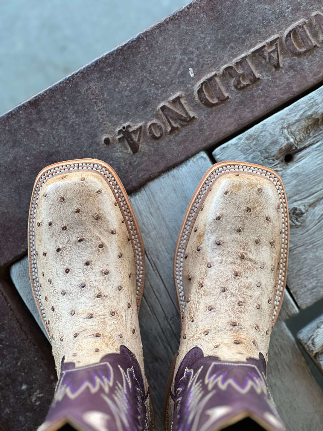 HYER Boot Co. | Harper Full Quill Ostrich Boot | Toe View