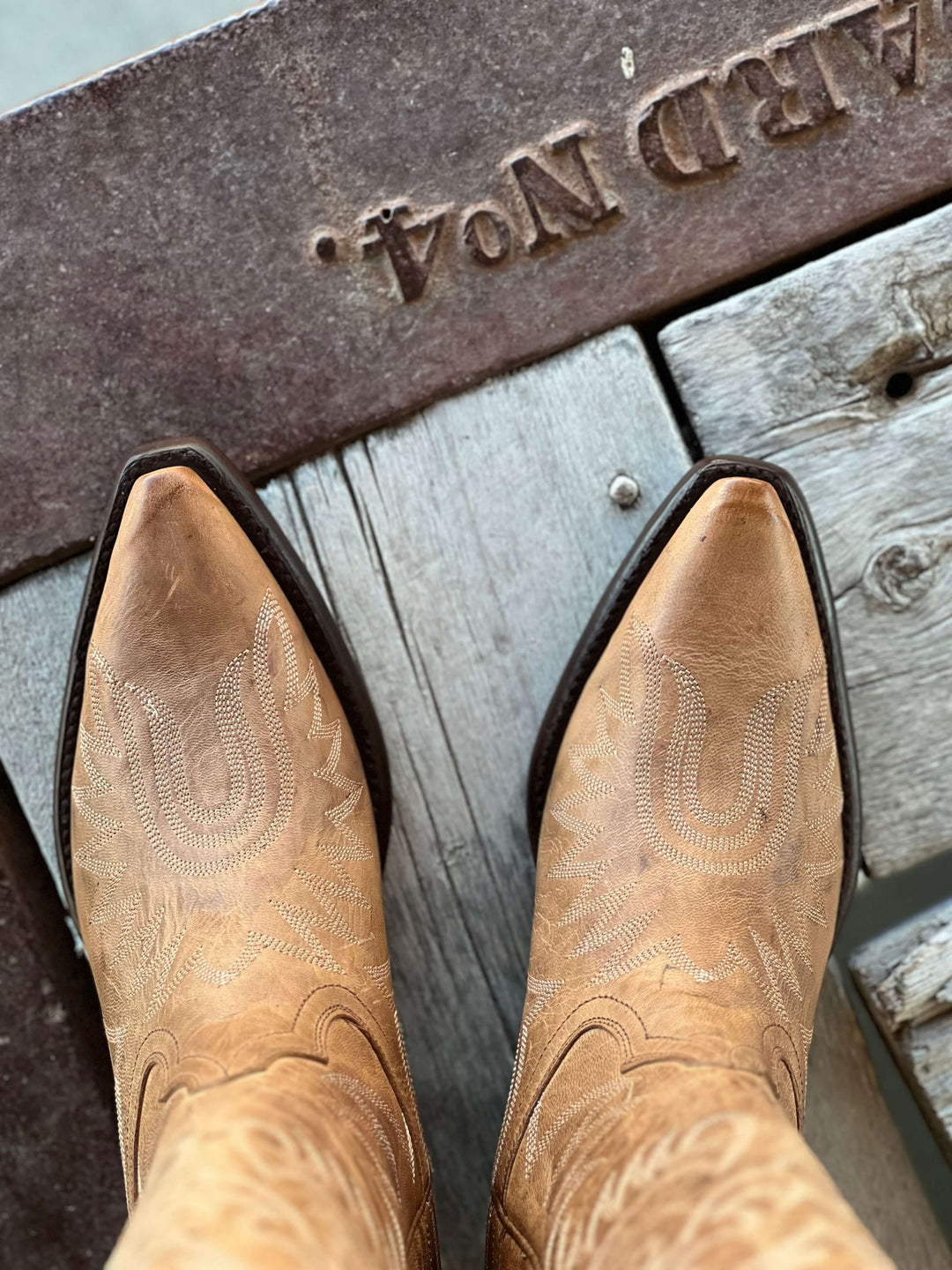 HYER Boot Co. | Road To Arizona Mad Dog Boot | Toe View