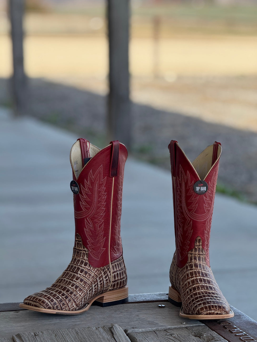 Horse Power Top Hand | Cigar Caiman Tail Boot