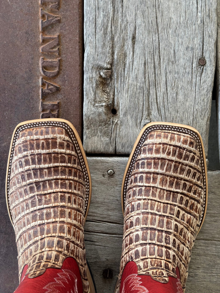 Horse Power Top Hand | Cigar Caiman Tail Boot | Toe View