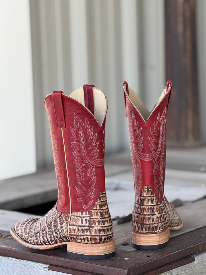 Horse Power Top Hand | Cigar Caiman Tail Boot | Back View