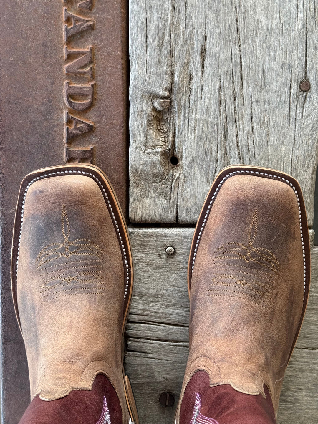 Anderson Bean | Sand Angry Elk Tall Top Boot
