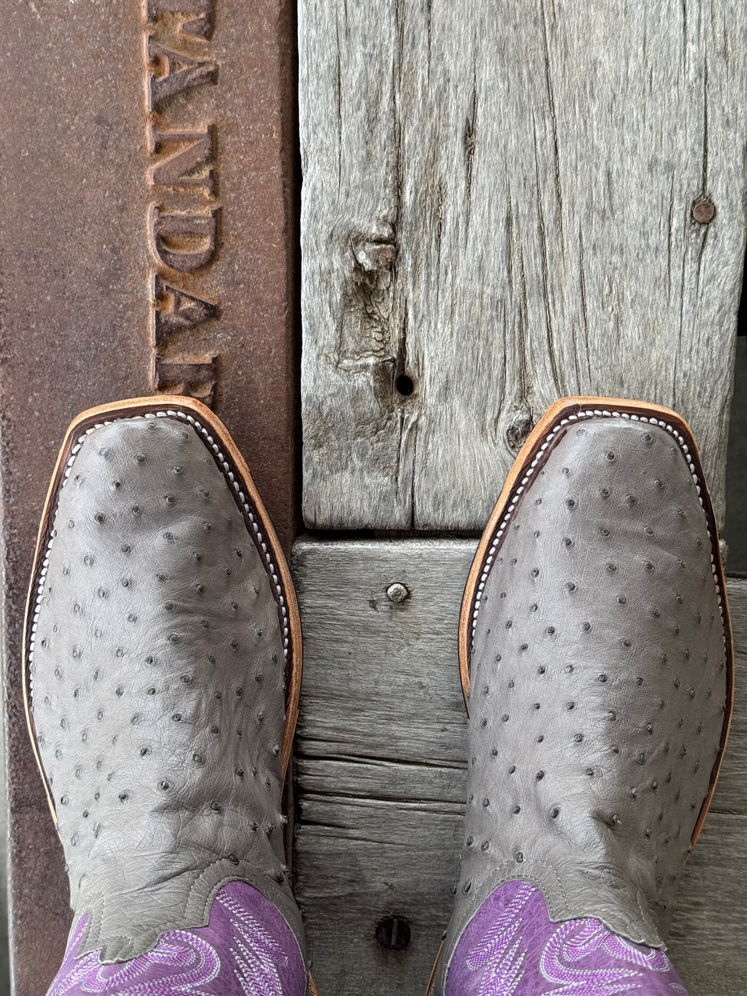 Anderson Bean | Serpentine Grey Full Quill Ostrich Boot | Toe View