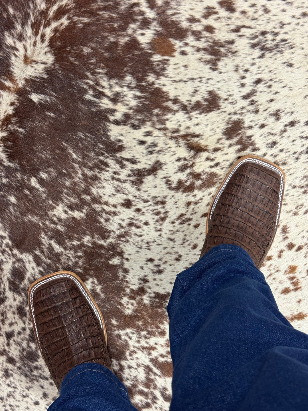 Anderson Bean | Chocolate Lux Hornback Caiman Boot