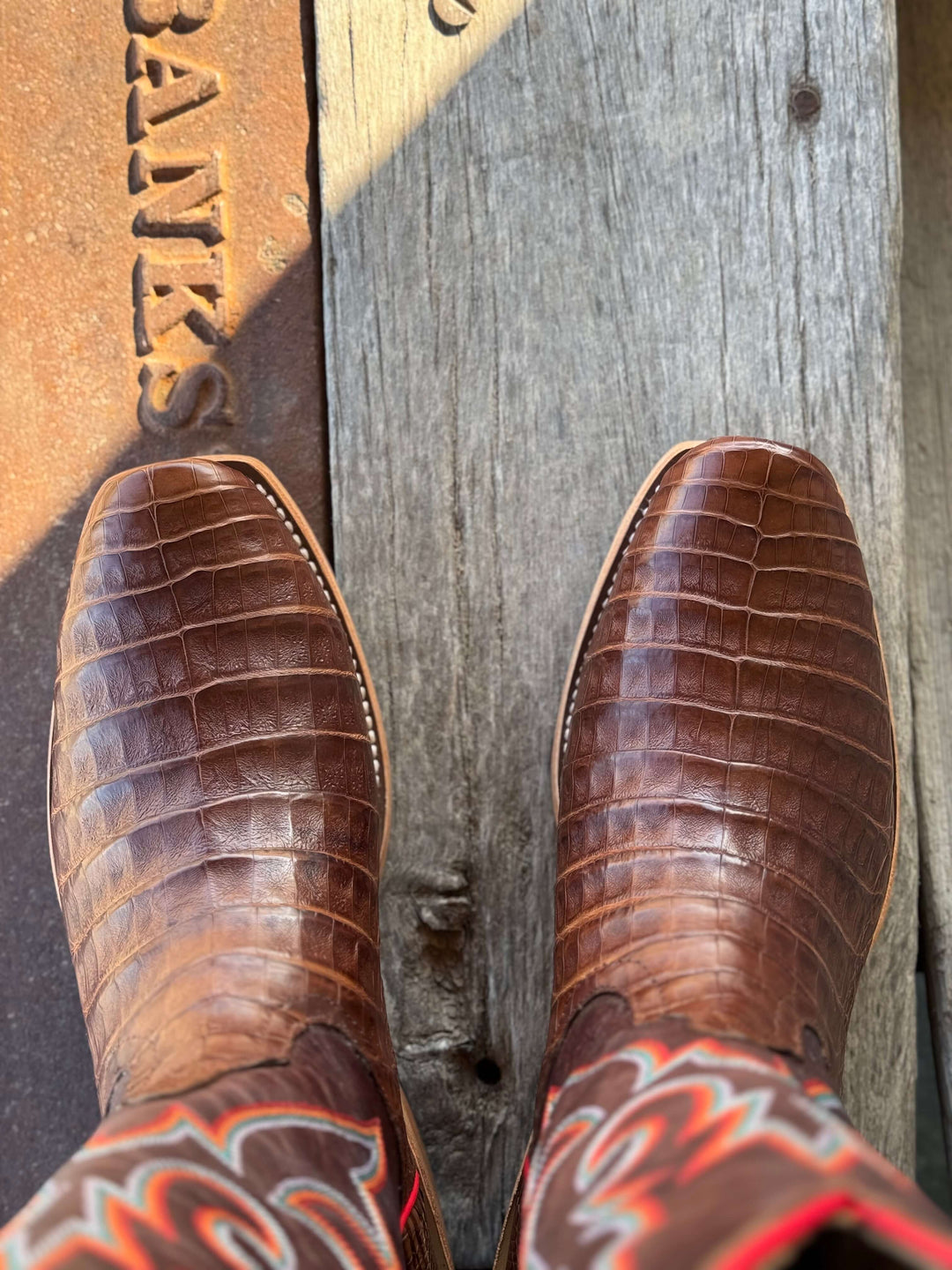 Horse Power Top Hand  | Post Oak Caiman Belly Boot | Toe View