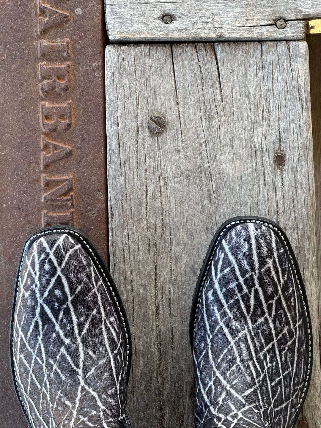 Fenoglio Boot Co. | Cookies and Cream Elephant Boot | Toe View