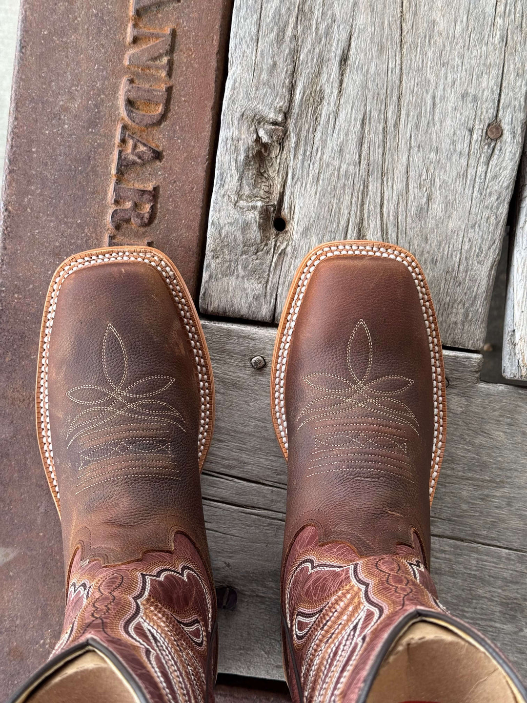 HYER Boot Co. | Lola Brown Arena Cowhide Boot | Toe View