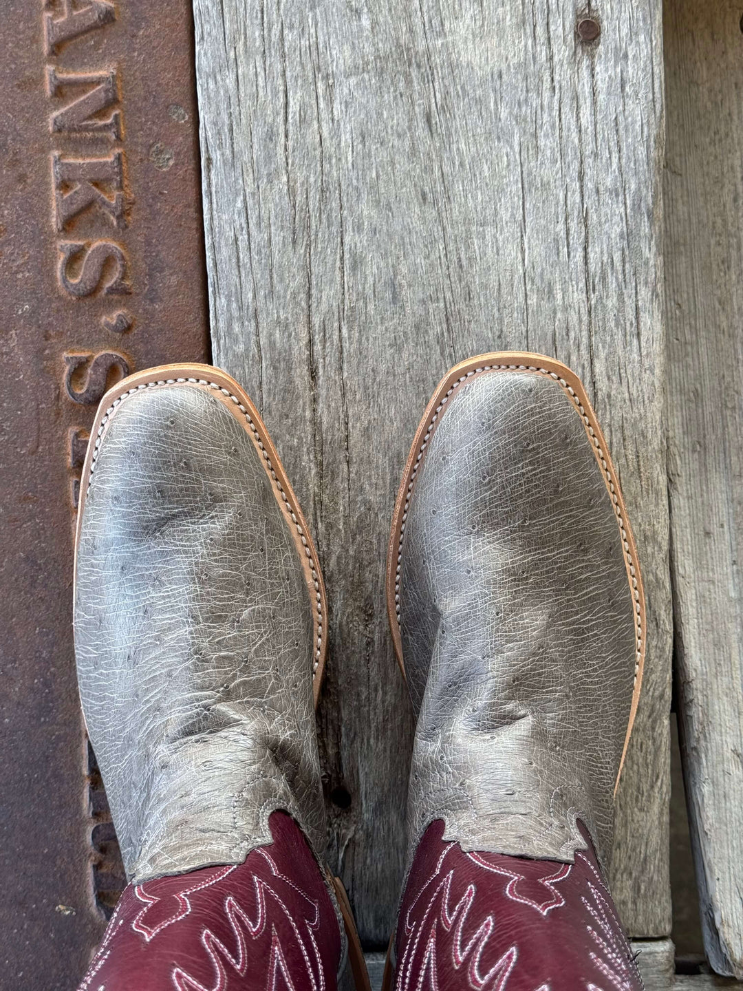 Fenoglio Boot Co. | Serpentine Smooth Ostrich Boot | Toe View