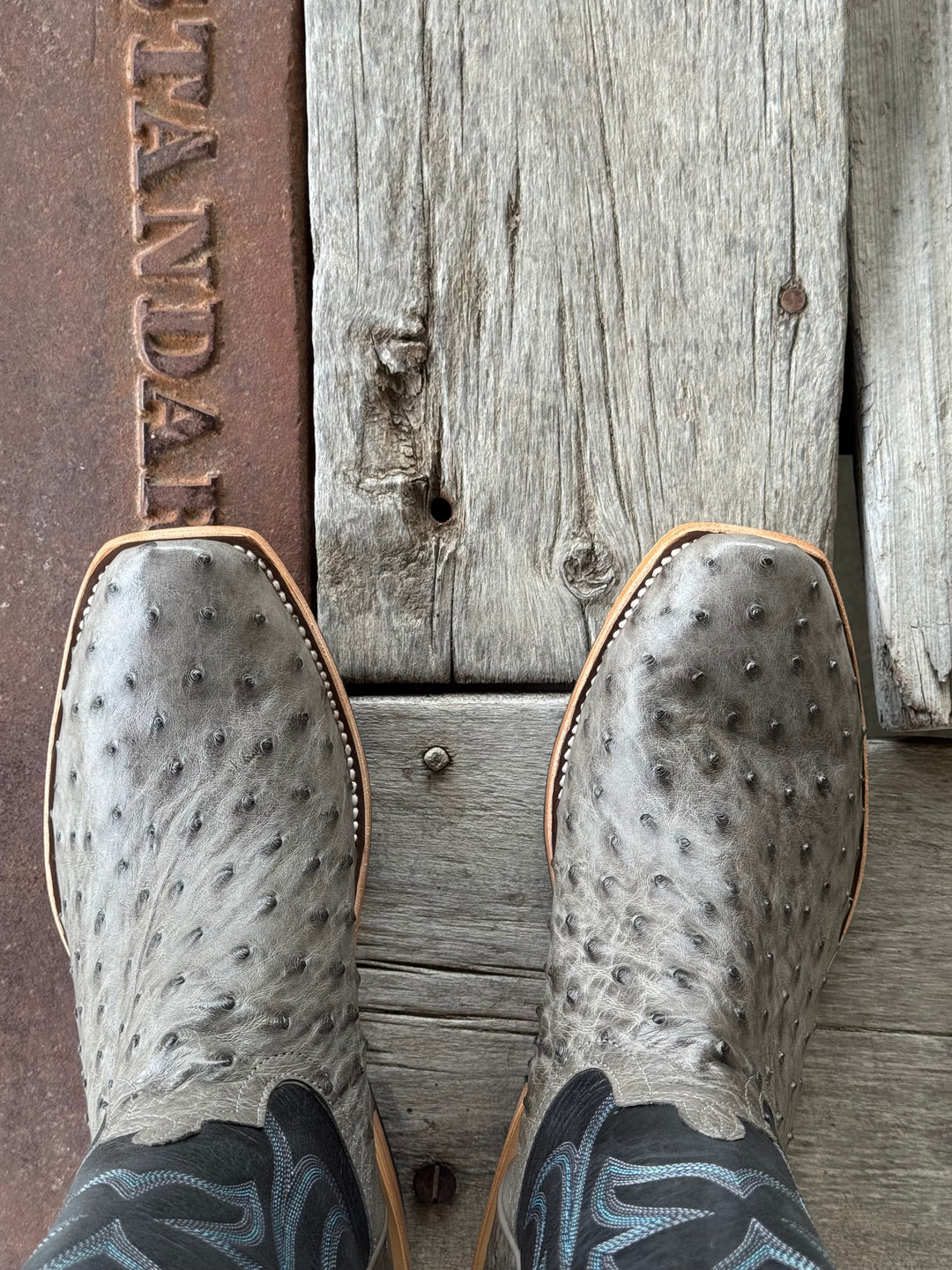Horse Power Top Hand | Serpentine Bruciato TK Toe Ostrich Boot | Toe View