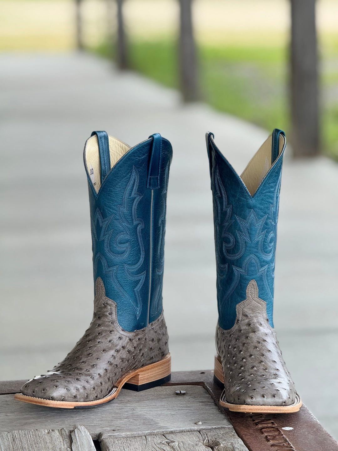 Horse Power Top Hand  | Serpentine Bruciato FQ Ostrich Boot