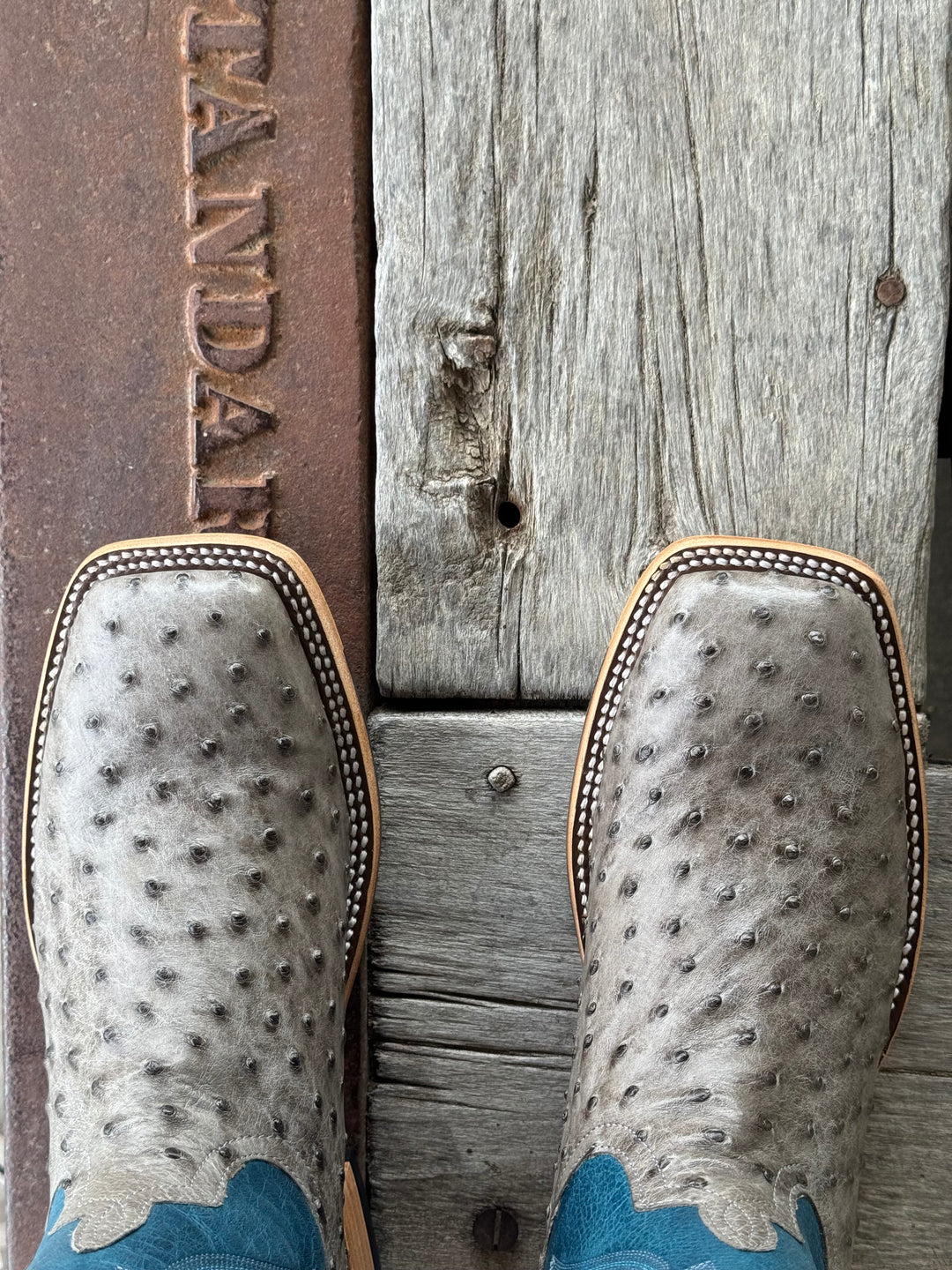 Horse Power Top Hand  | Serpentine Bruciato FQ Ostrich Boot | Toe View