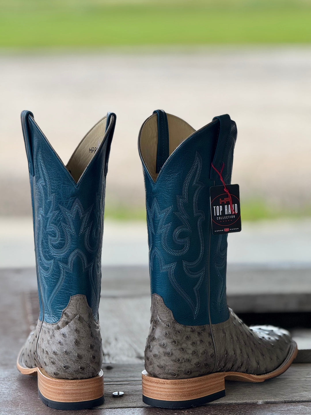 Horse Power Top Hand  | Serpentine Bruciato FQ Ostrich Boot | Back View
