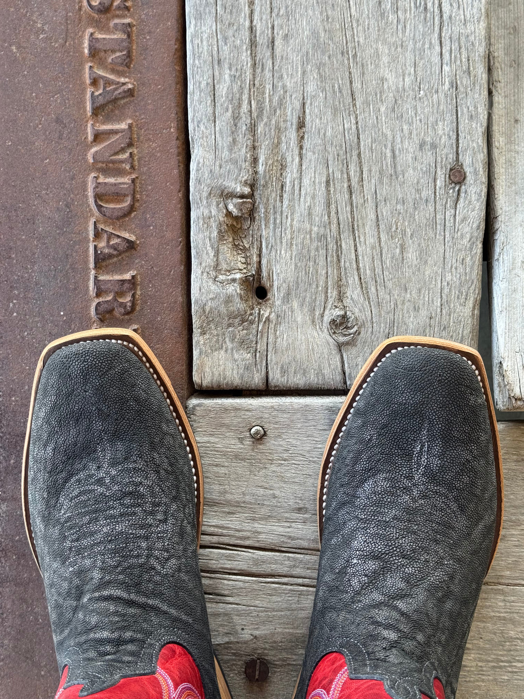 Horse Power Top Hand | Grey Safari Elephant TK Toe Boot | Toe View