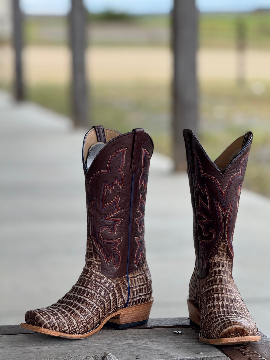 Horse Power Top Hand | Cognac Sundance TK Toe Caiman Tail Boot