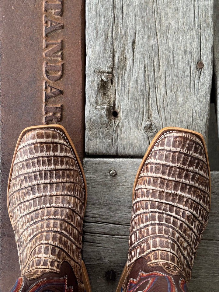 Horse Power Top Hand | Cognac Sundance TK Toe Caiman Tail Boot | Toe View