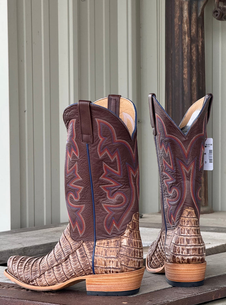 Horse Power Top Hand | Cognac Sundance TK Toe Caiman Tail Boot | Back View
