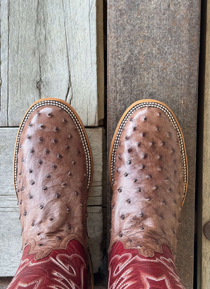 Horse Power Top Hand  | Kango Tobacco FQ Ostrich 11" Boot | Toe View