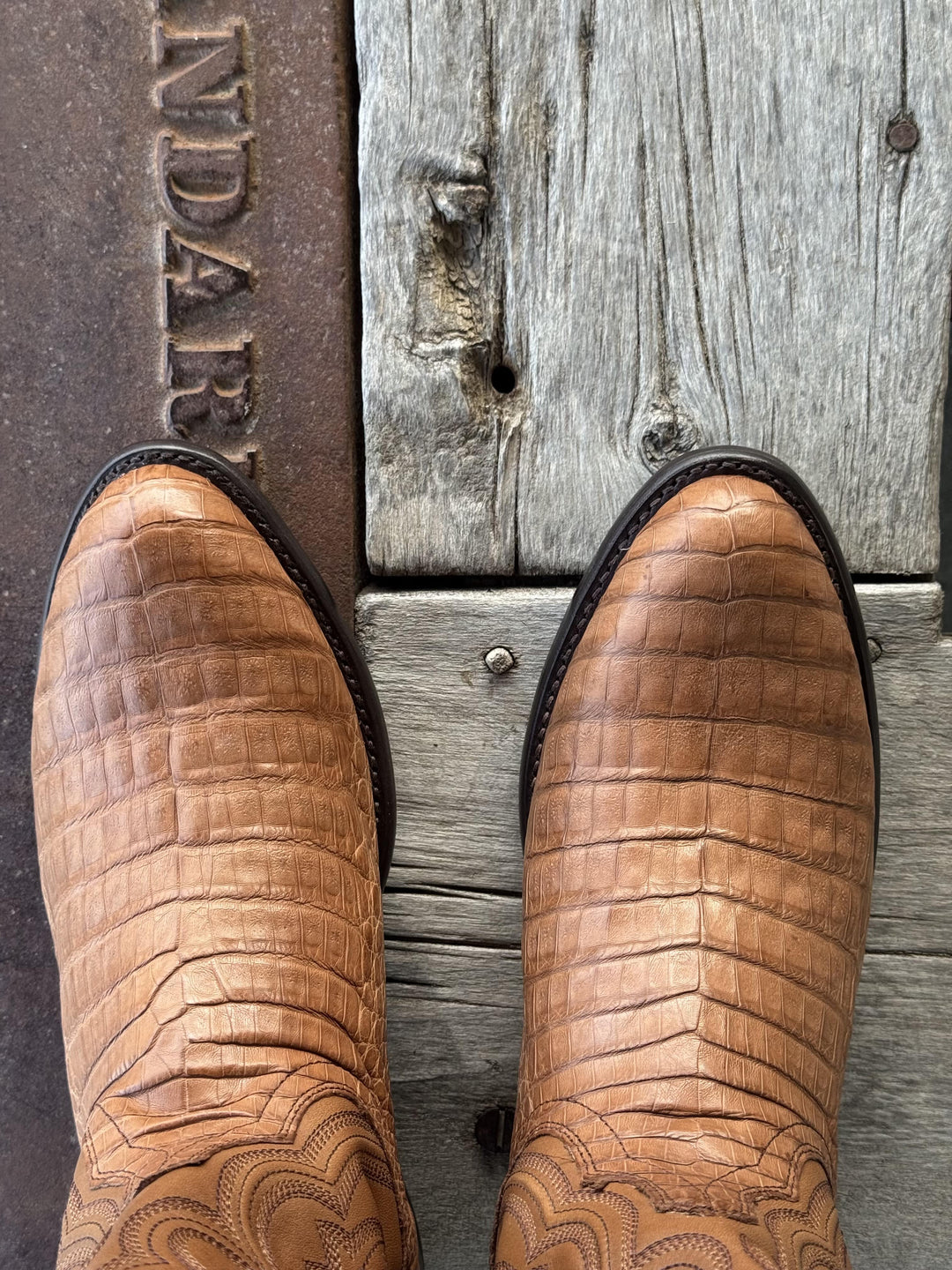 Tecovas | The Dillon Boot Caiman | Toe View