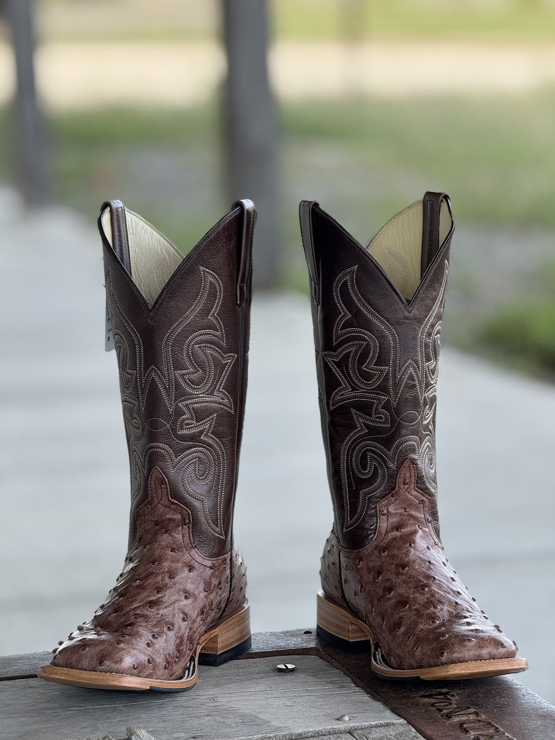 Horse Power Top Hand  | Kango Tobacco FQ Ostrich Boot