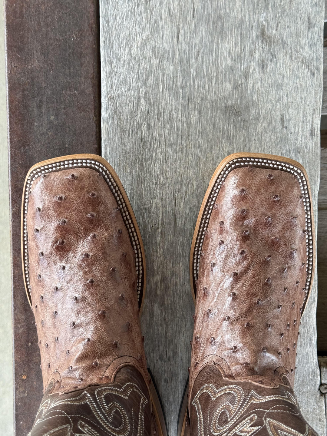 Horse Power Top Hand  | Kango Tobacco FQ Ostrich Boot | Toe View