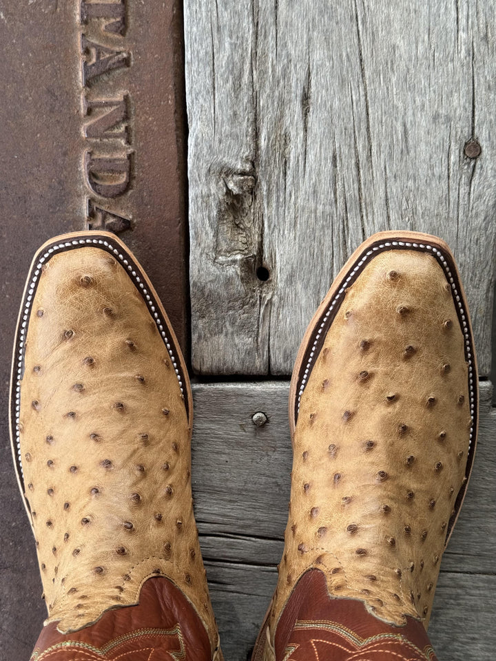 Anderson Bean | Umber Bruciato Full Quill Ostrich SQ Toe Boot | Toe View