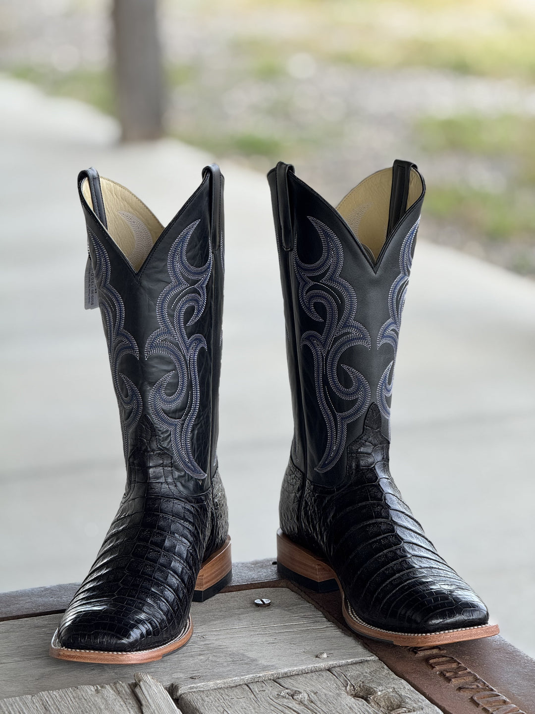 Horse Power Top Hand  | Black Caiman Belly Boot DB Toe