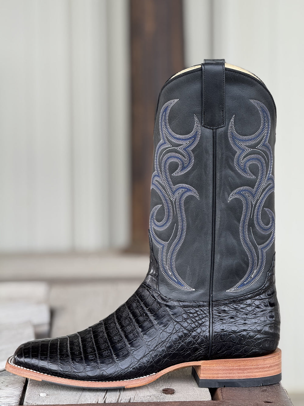 Horse Power Top Hand  | Black Caiman Belly Boot DB Toe | Side View