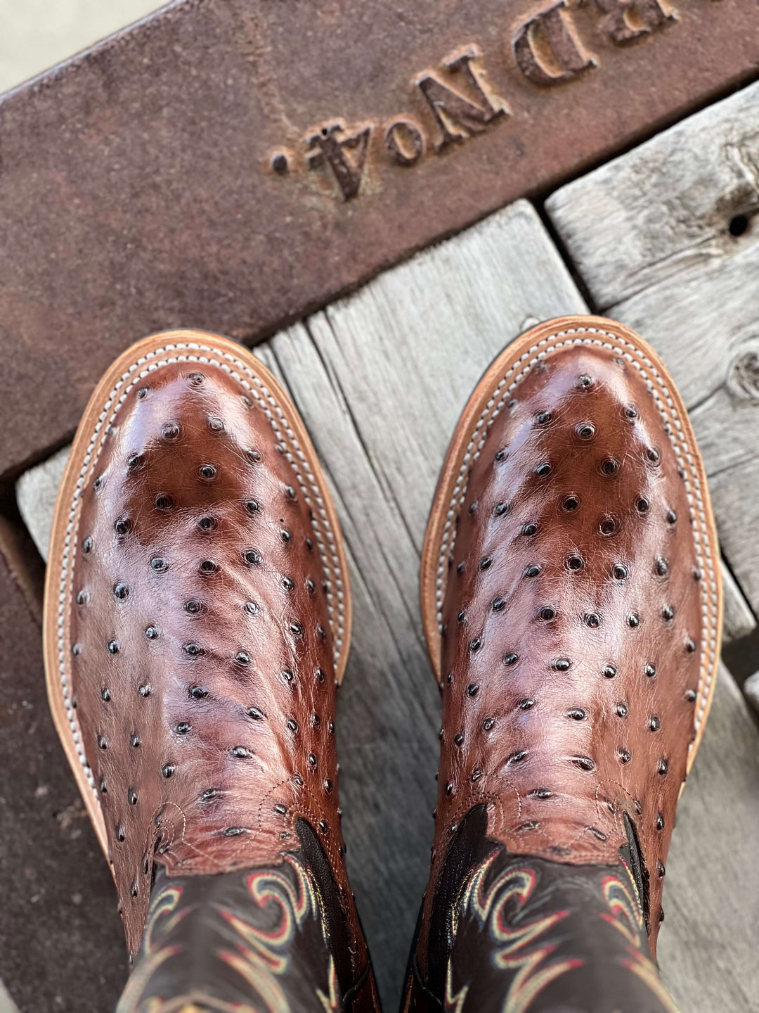 Fenoglio Boot Co. | Kango Tobac Full Quill Ostrich Boot | Toe View