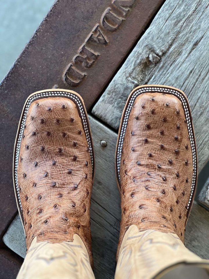 Anderson Bean | Brandy Bruciato Full Quill Ostrich Boot | Toe View