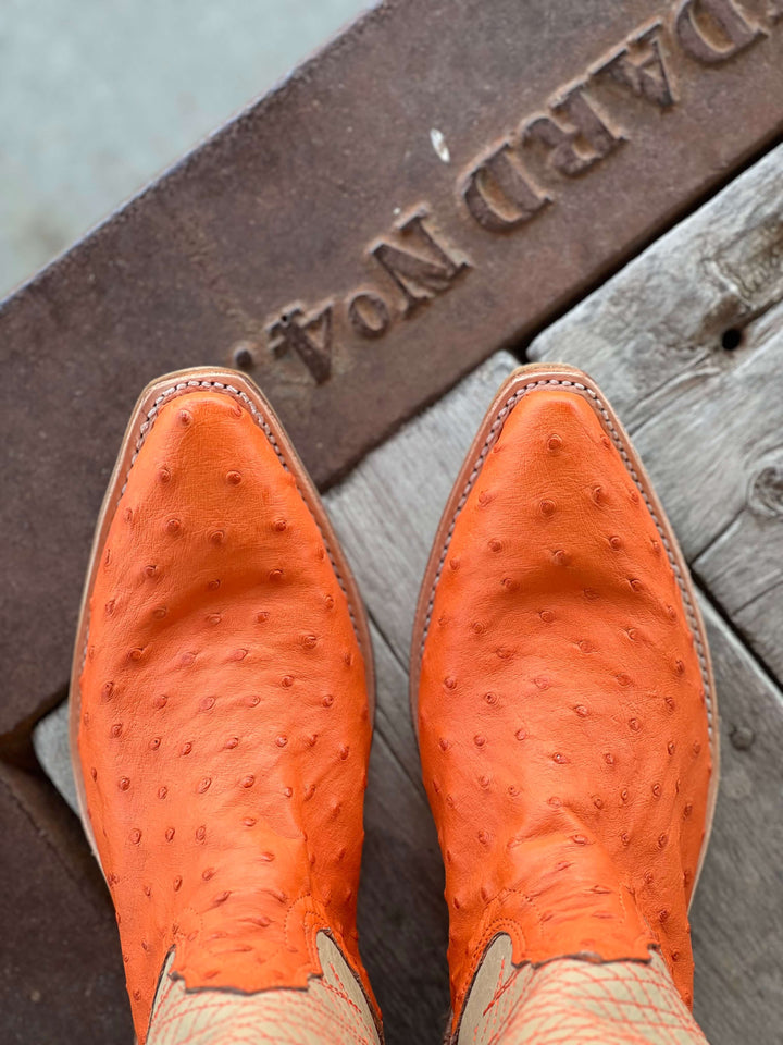 Fenoglio Boot Co. | Tangerine FQ Ostrich Boot Toe View