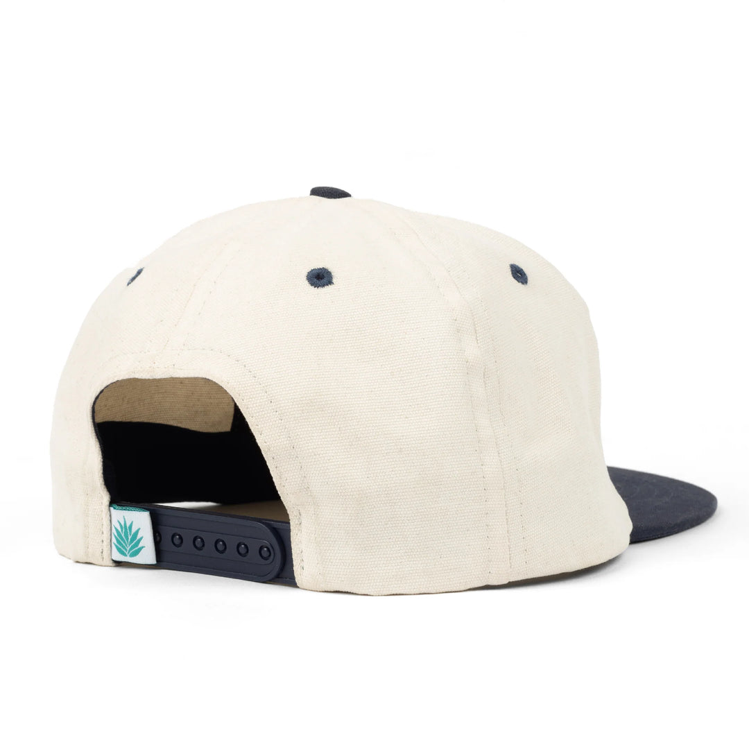 Back view Sendero Provisions Co | All Hat No Cattle Cap