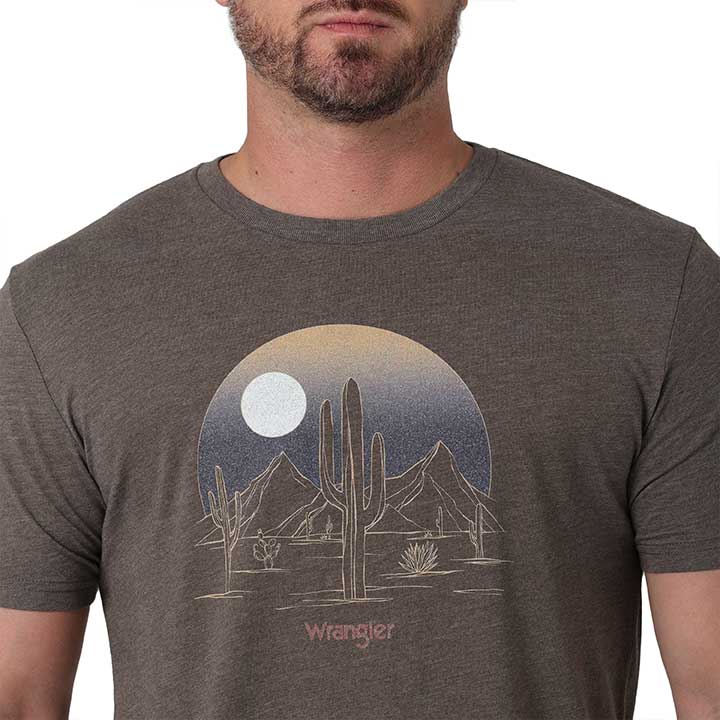 front detail view of desert moon art graphic