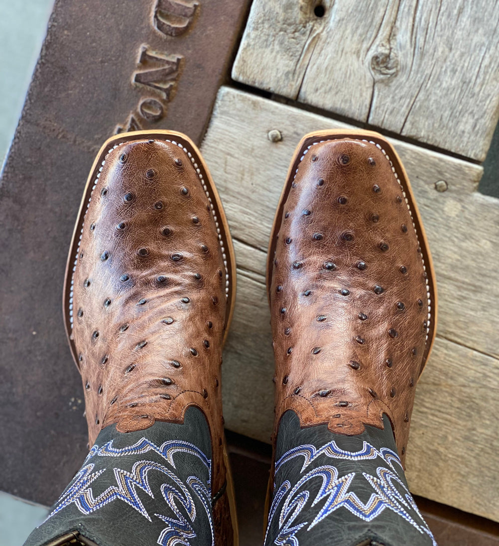 Top view detail toe shape and ostrich leather on Horse Power Top Hand  | Kango Tobacco FQ Ostrich Boot