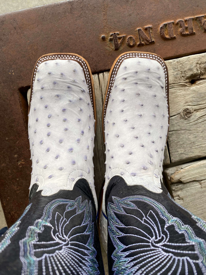 Toe View Anderson Bean | White Bruciato Full Quill Ostrich Boot