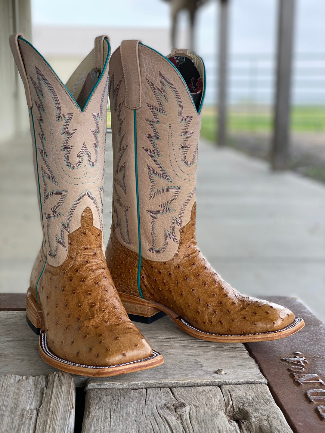 Macie Bean | Top Hand Antique Saddle Full Quill Ostrich Ladies Boot