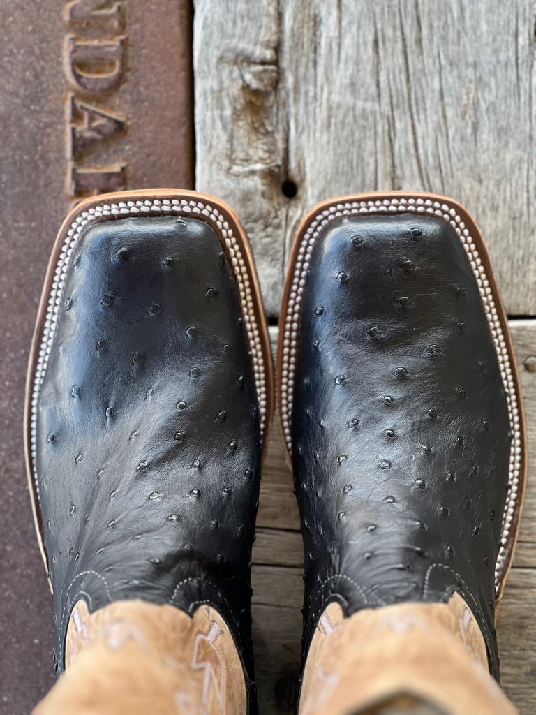 Toe View Anderson Bean Black Full Quill Ostrich Boot